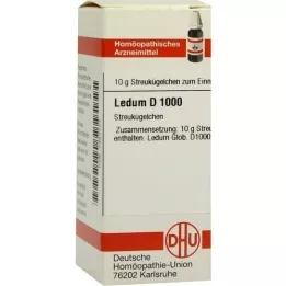 LEDUM D 1000 globulek, 10 g