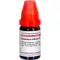 ARSENICUM ALBUM LM I Rozcieńczenie, 10 ml