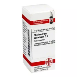 PHELLANDRIUM AQUATICUM D 6 kulek, 10 g