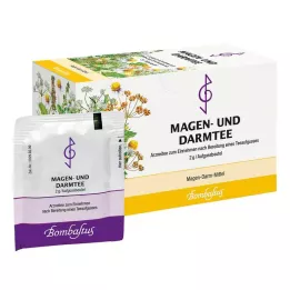 MAGEN UND Woreczek filtrujący Intestinal Tea Bombastus, 20X2 g
