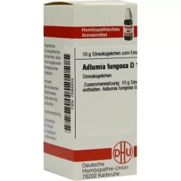 ADLUMIA fungosa D 12 kulek, 10 g