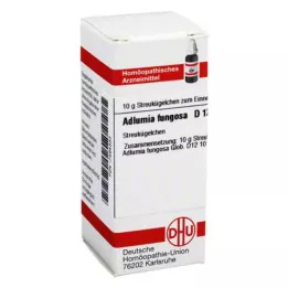 ADLUMIA fungosa D 12 kulek, 10 g