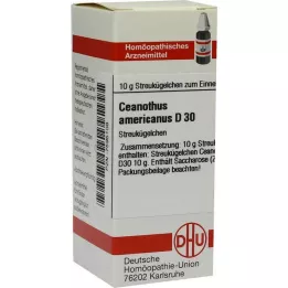 CEANOTHUS AMERICANUS D 30 kulek, 10 g