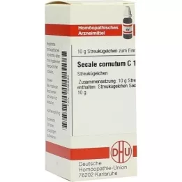 SECALE CORNUTUM C 12 kulek, 10 g