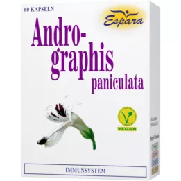ANDROGRAPHIS kapsułki paniculata, 60 szt
