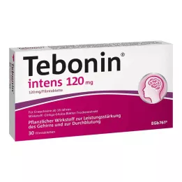 TEBONIN intensywne tabletki powlekane 120 mg, 30 szt