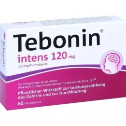 TEBONIN intensywne tabletki powlekane 120 mg, 60 szt