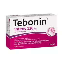 TEBONIN intensywne tabletki powlekane 120 mg, 60 szt
