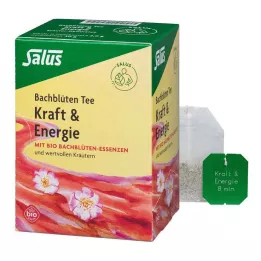 BACHBLÜTEN TEE Moc &amp; Energia Bio Salus Fbtl., 15 szt