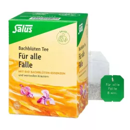 BACHBLÜTEN TEE Dla wszystkich przypadków herbata filtrowana Bio Salus, 15 szt
