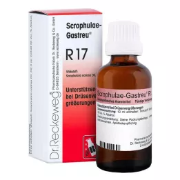 SCROPHULAE-Mieszanka Gastreu R17, 50 ml