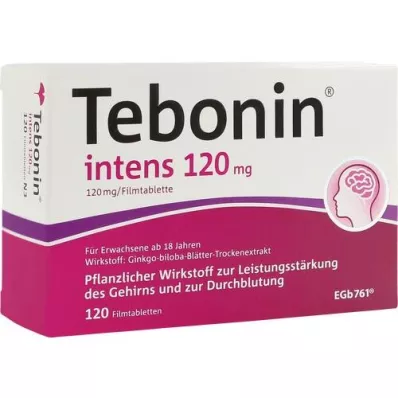 TEBONIN intensywne tabletki powlekane 120 mg, 120 szt