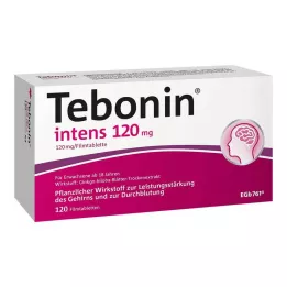 TEBONIN intensywne tabletki powlekane 120 mg, 120 szt