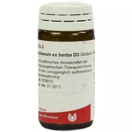 ABROTANUM EX Herba D 3 globulki, 20 g