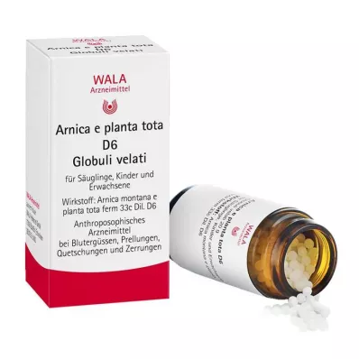 Arnica E Planta tota D 6 globulek, 20 g Arnica E Planta tota D 6 globulek, 20 g