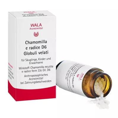 Chamomilla E Radix D 6 globulek, 20 g