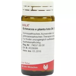 ECHINACEA E planta tota D 6 kulek, 20 g