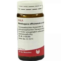 MANDRAGORA OFFICINARIUM e radice D 6 kulek, 20 g