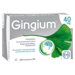 GINGIUM Tabletki powlekane 40 mg, 120 szt