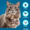 SERESTO Obroża f.cats, 1 szt