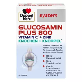 DOPPELHERZ Kapsułki systemowe Glucosamine Plus 800, 60 szt