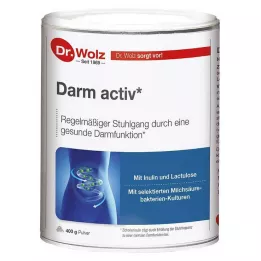 DARM ACTIV Dr.Wolz Powder, 400 g