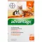 ADVANTAGE 40 mg roztwór dla małych kotów/królików, 4X0,4 ml