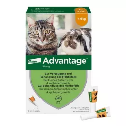 ADVANTAGE 40 mg roztwór dla małych kotów/królików, 4X0,4 ml