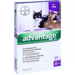 ADVANTAGE 80 mg dla dużych kotów i królików, 4X0,8 ml