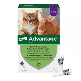 ADVANTAGE 80 mg dla dużych kotów i królików, 4X0,8 ml