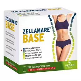 ZELLAMARE Podstawa i paski podstawy, 30 szt