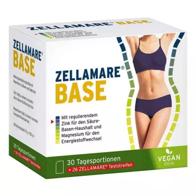 Baza Zellamare i listwy bazowe, 30 szt Baza Zellamare i listwy bazowe, 30 szt