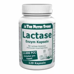 LACTASE 12 000 FCC Kapsułki enzymatyczne, 120 szt