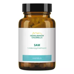 SAM S-ADENOSYLMETHIONIN Kapsułki, 60 szt