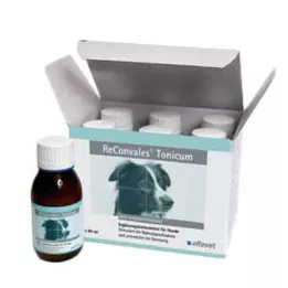 RECONVALES Tonik dla psów, 6X90 ml