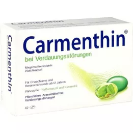 CARMENTHIN na niestrawność msr.soft caps., 42 szt