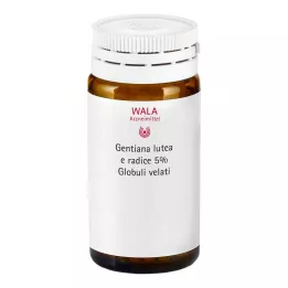 GENTIANA LUTEA 5% nalewka macierzysta globuli velati, 20 g