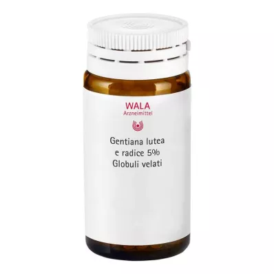 Gentiana lutea 5% nalewka matka Globuli velati, 20 g Gentiana lutea 5% nalewka matka Globuli velati, 20 g