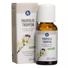 PROPOLIS TROPFEN bez alkoholu, 20 ml