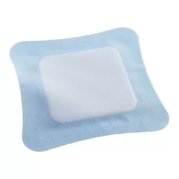 VLIWASORB Pro superabsorb.comp.sterile 22x22 cm, 10 szt
