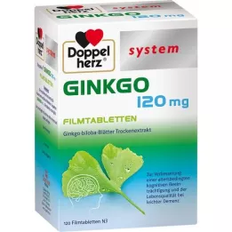 DOPPELHERZ Ginkgo 120 mg system tabletki powlekane, 120 szt