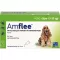 AMFLEE 134 mg roztwór do nakrapiania dla średnich psów o masie ciała 10-20 kg, 3 szt