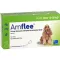 AMFLEE 134 mg roztwór do nakrapiania dla średnich psów o masie ciała 10-20 kg, 3 szt
