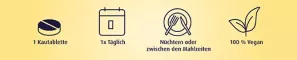 Instructions for use for Witamina B12 500 µg pastylki do ssania, 180 szt - 2