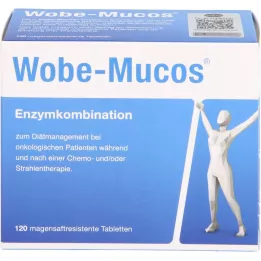 WOBE-MUCOS tabletki powlekane dojelitowo, 120 szt