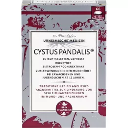 CYSTUS Pastylki do ssania Pandalis, 66 szt