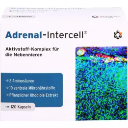 ADRENAL-Kapsułki Intercell, 120 kapsułek