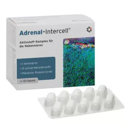 ADRENAL-Kapsułki Intercell, 120 kapsułek