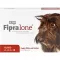 FIPRALONE 134 mg roztwór doustny dla średnich psów, 4 szt