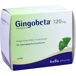 GINGOBETA Tabletki powlekane 120 mg, 120 szt
